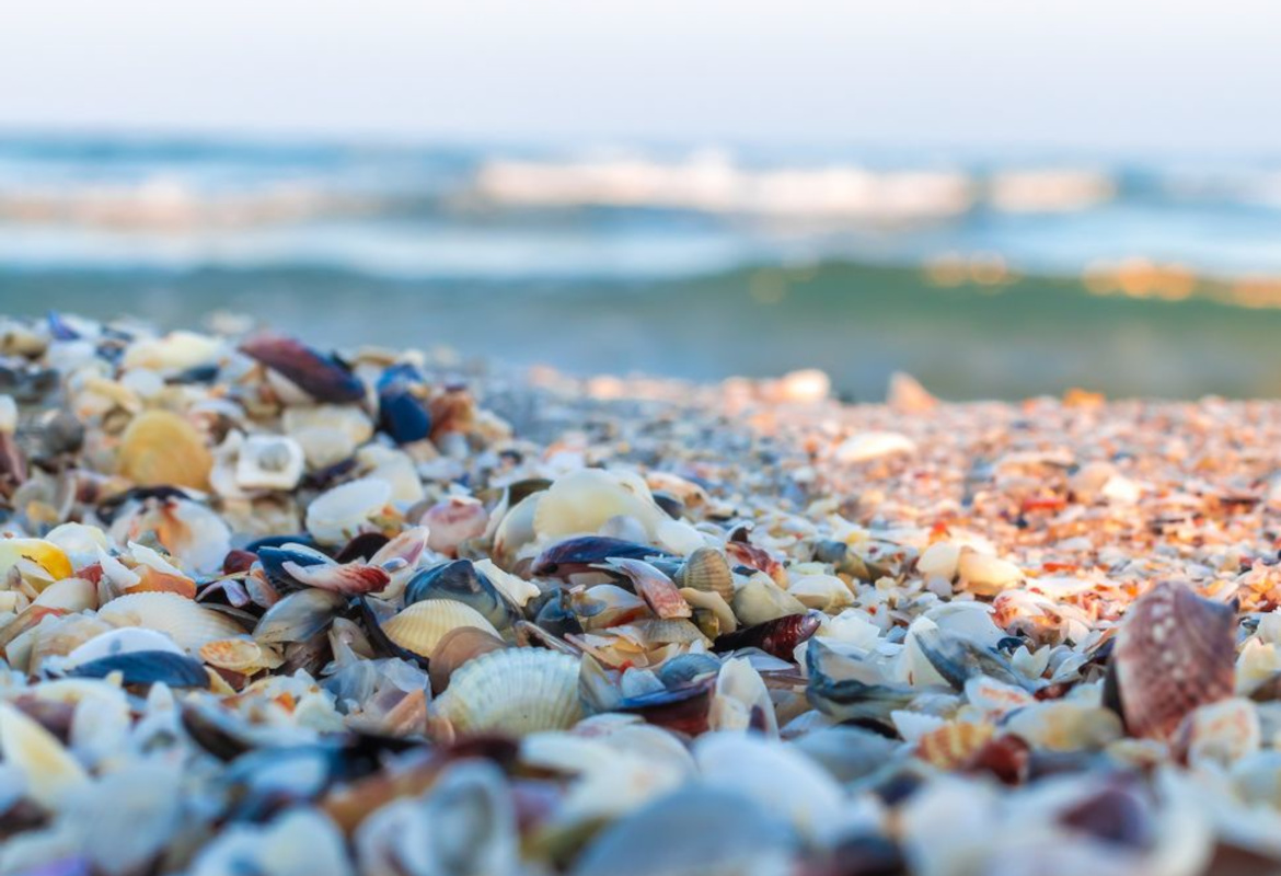 Tourist attractions on the Romanian coast