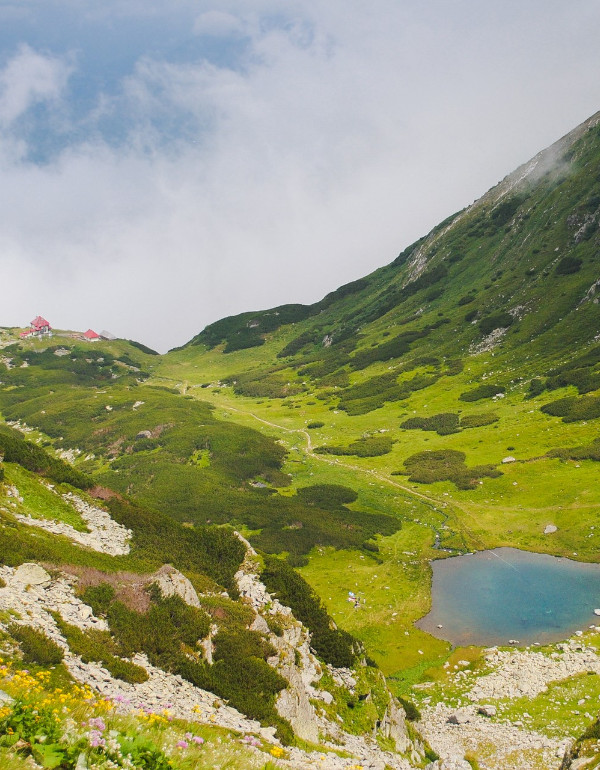 Cazare Munții Rodnei Cazare Munții Rodnei