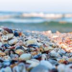 Tourist attractions on the Romanian coast